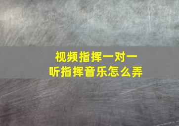 视频指挥一对一听指挥音乐怎么弄