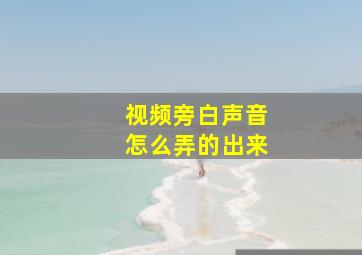 视频旁白声音怎么弄的出来