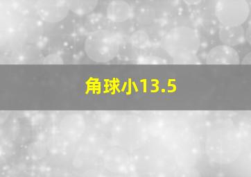 角球小13.5