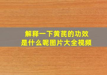 解释一下黄芪的功效是什么呢图片大全视频