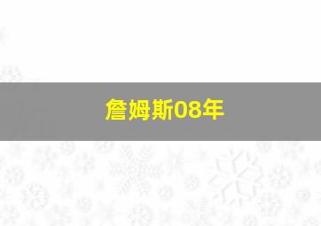 詹姆斯08年