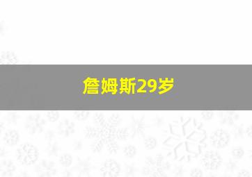 詹姆斯29岁