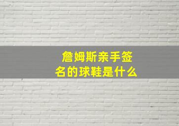 詹姆斯亲手签名的球鞋是什么