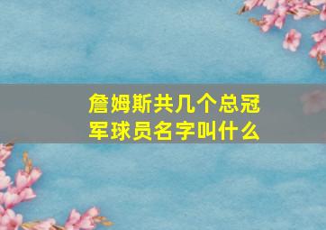 詹姆斯共几个总冠军球员名字叫什么