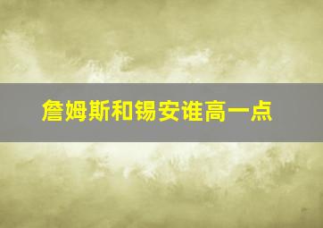 詹姆斯和锡安谁高一点