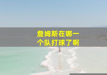 詹姆斯在哪一个队打球了啊