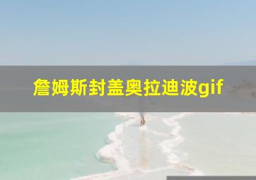 詹姆斯封盖奥拉迪波gif