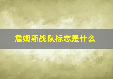 詹姆斯战队标志是什么