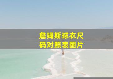 詹姆斯球衣尺码对照表图片