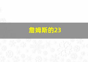 詹姆斯的23