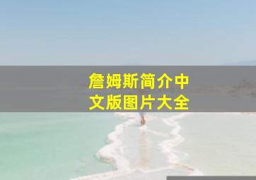 詹姆斯简介中文版图片大全