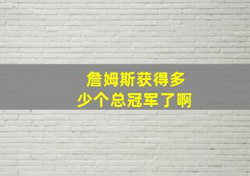 詹姆斯获得多少个总冠军了啊