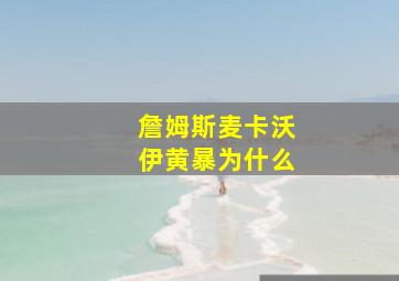 詹姆斯麦卡沃伊黄暴为什么