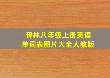 译林八年级上册英语单词表图片大全人教版