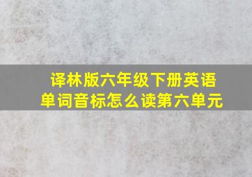 译林版六年级下册英语单词音标怎么读第六单元