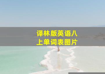 译林版英语八上单词表图片