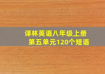 译林英语八年级上册第五单元120个短语