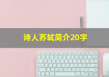 诗人苏轼简介20字