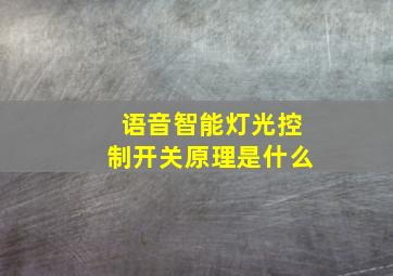 语音智能灯光控制开关原理是什么