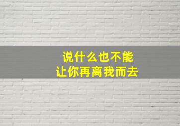 说什么也不能让你再离我而去