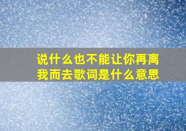 说什么也不能让你再离我而去歌词是什么意思