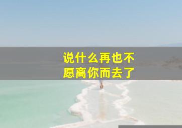 说什么再也不愿离你而去了