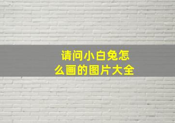 请问小白兔怎么画的图片大全