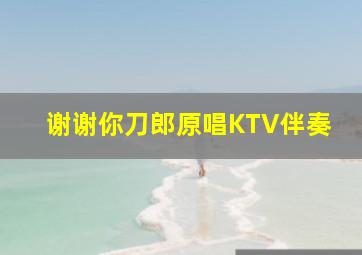 谢谢你刀郎原唱KTV伴奏