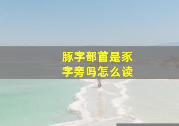 豚字部首是豕字旁吗怎么读