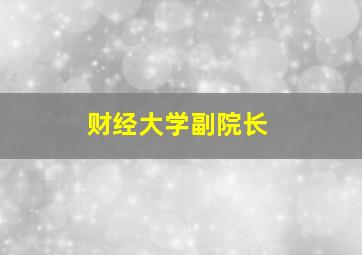 财经大学副院长