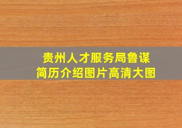 贵州人才服务局鲁谋简历介绍图片高清大图