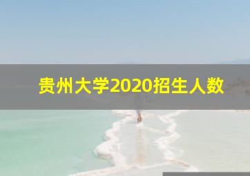 贵州大学2020招生人数