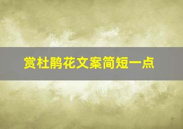 赏杜鹃花文案简短一点