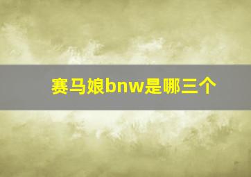 赛马娘bnw是哪三个