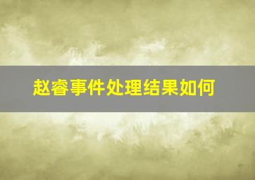 赵睿事件处理结果如何