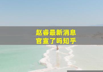 赵睿最新消息官宣了吗知乎