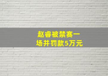 赵睿被禁赛一场并罚款5万元