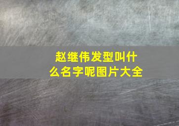 赵继伟发型叫什么名字呢图片大全