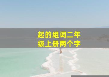 起的组词二年级上册两个字