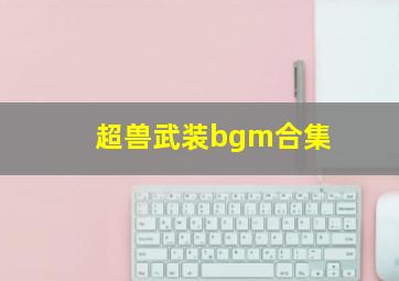 超兽武装bgm合集