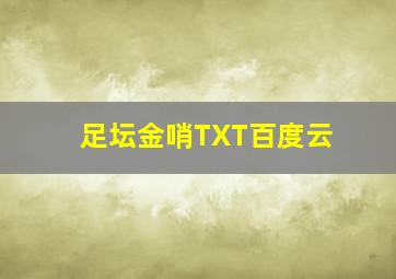 足坛金哨TXT百度云