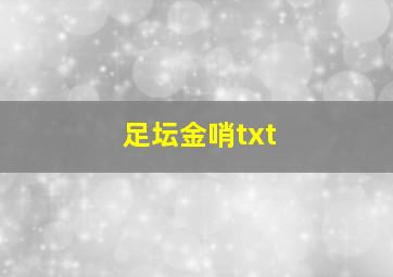 足坛金哨txt