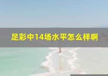 足彩中14场水平怎么样啊