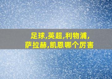 足球,英超,利物浦,萨拉赫,凯恩哪个厉害