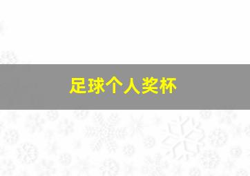 足球个人奖杯