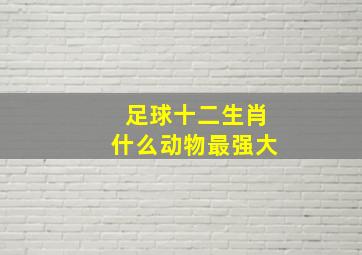 足球十二生肖什么动物最强大