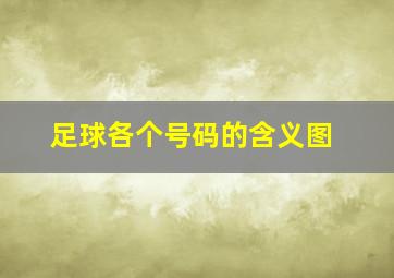 足球各个号码的含义图