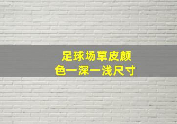 足球场草皮颜色一深一浅尺寸