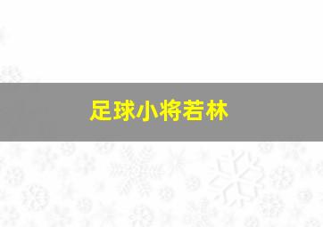 足球小将若林