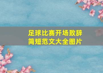 足球比赛开场致辞简短范文大全图片